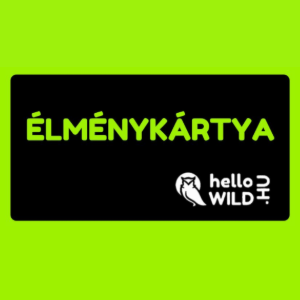 Élménykártya